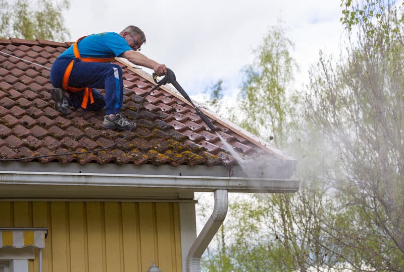roof moss on wood shingles